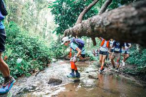 BIB: 
                            <button type="button" onclick="openModal(25373187)" class="btn btn-primary btn-sm float-right btn-popup" data-toggle="modal" data-target=".modal-high-quality">
                        <i class="fas fa-shopping-cart"></i> Add to Cart
                    </button>
                                            <button type="button" onclick="isThisMe(25373187, true)" class="btn btn-success btn-sm float-right btn-popup btn-isme hidden" data-toggle="tooltip" data-placement="bottom" title="นี่คือรูปของคุณใช่ไหม คลิกที่นี่เพื่อเอาเข้าอัลบั้ม">
                        <i class="fas fa-plus"></i> Add to album
                    </button>
                    <button type="button" onclick="isThisMe(25373187, false)" class="btn btn-warning btn-sm float-right btn-popup btn-isnotme hidden">
                        <i class="fas fa-ban"></i> Remove from album
                    </button>